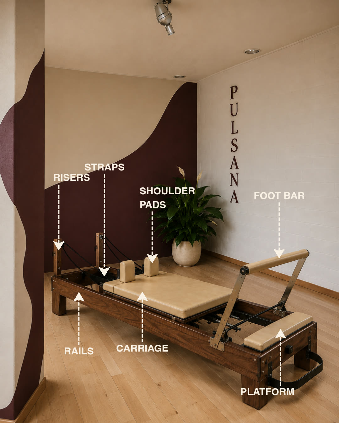 Visualisierung des künftigen Reformer-Bereichs im PULSANA Studio